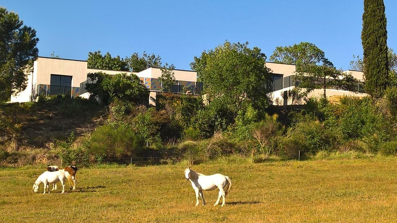 Villa Piscine Sud France Verzeille Zewnętrze zdjęcie
